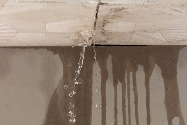 Professional Structural Drying technician working in Osgood, IN